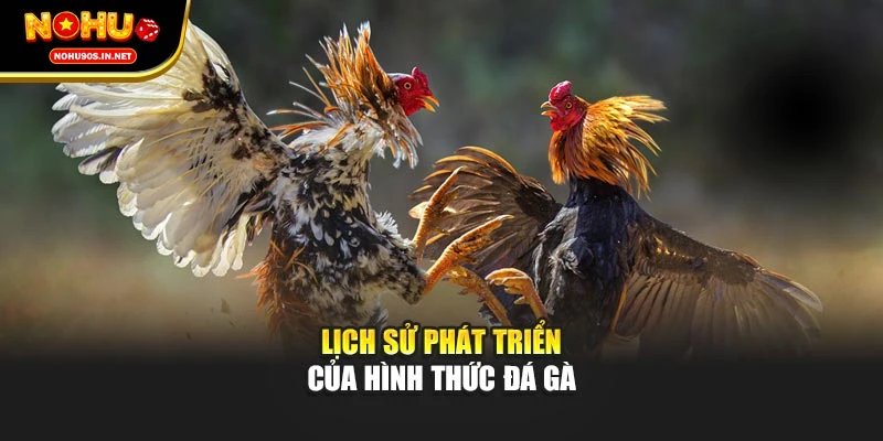 Lịch sử phát triển của hình thức đá gà