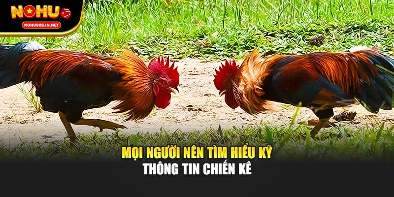 Mọi người nên tìm hiểu kỹ thông tin chiến kê
